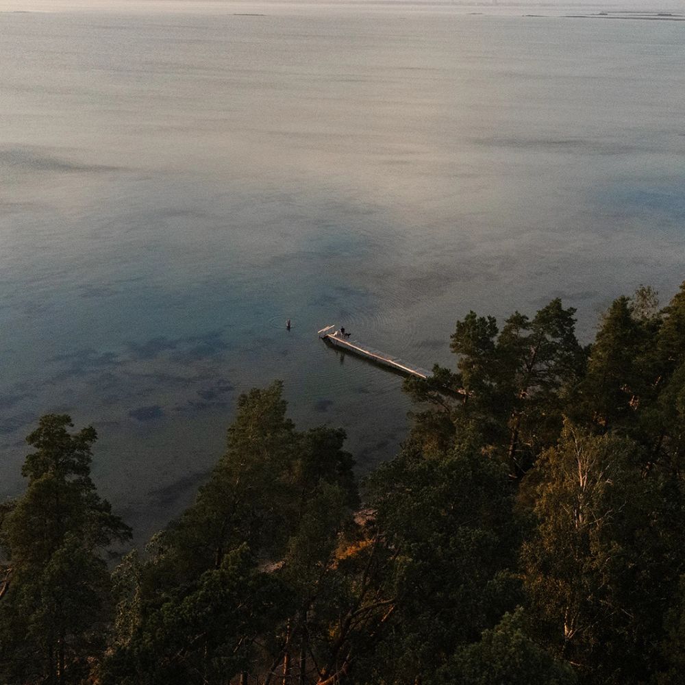 Ensam brygga som leder ut i vattnet bland tallar på södra Öland 